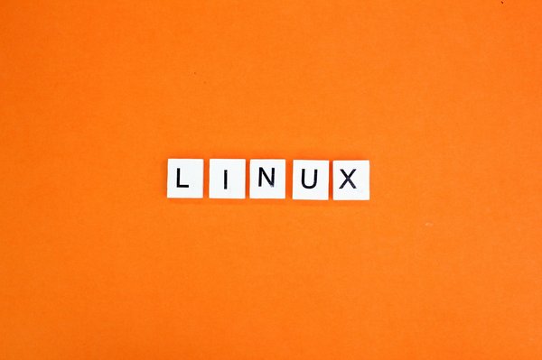 Quelles sont les meilleures distributions Linux pour les développeurs de logiciels?